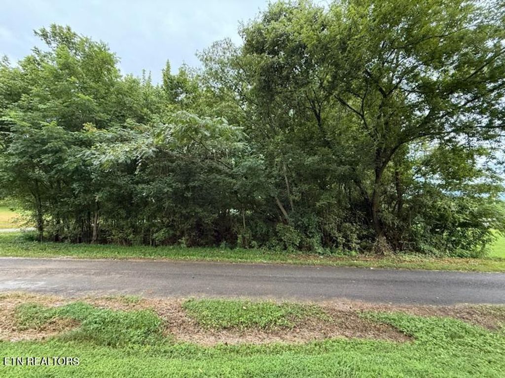 Photo of 000 Pete Worthington Rd, Dayton, TN 37321 (MLS # 1312725)