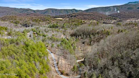Tiny photo for 272 Cove Hollow Rd, Cosby, TN 37722 (MLS # 1342068)