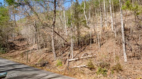 Tiny photo for 272 Cove Hollow Rd, Cosby, TN 37722 (MLS # 1342068)