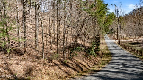 Tiny photo for 272 Cove Hollow Rd, Cosby, TN 37722 (MLS # 1342068)