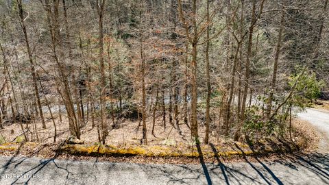 Tiny photo for 272 Cove Hollow Rd, Cosby, TN 37722 (MLS # 1342068)