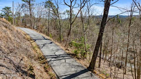 Tiny photo for 272 Cove Hollow Rd, Cosby, TN 37722 (MLS # 1342068)