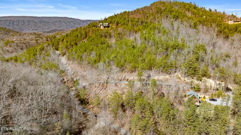 Tiny photo for 272 Cove Hollow Rd, Cosby, TN 37722 (MLS # 1342068)