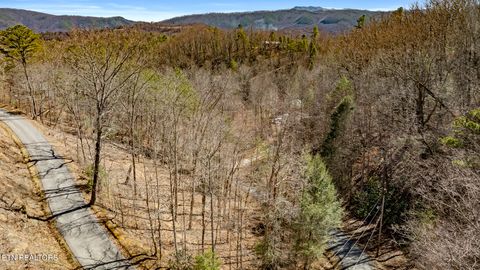 Tiny photo for 272 Cove Hollow Rd, Cosby, TN 37722 (MLS # 1342068)