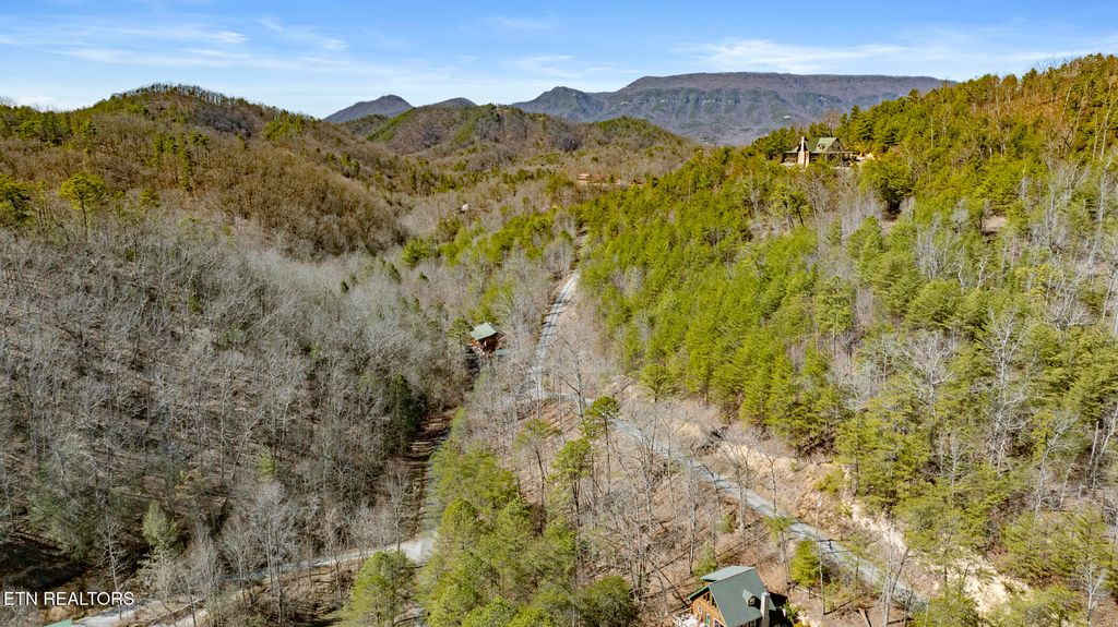 Photo of 272 Cove Hollow Rd, Cosby, TN 37722 (MLS # 1342068)
