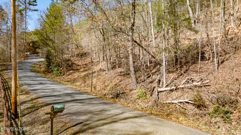 Tiny photo for 272 Cove Hollow Rd, Cosby, TN 37722 (MLS # 1342068)