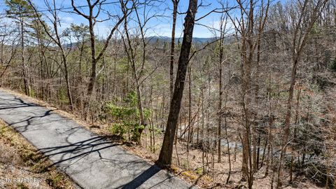 Tiny photo for 272 Cove Hollow Rd, Cosby, TN 37722 (MLS # 1342068)