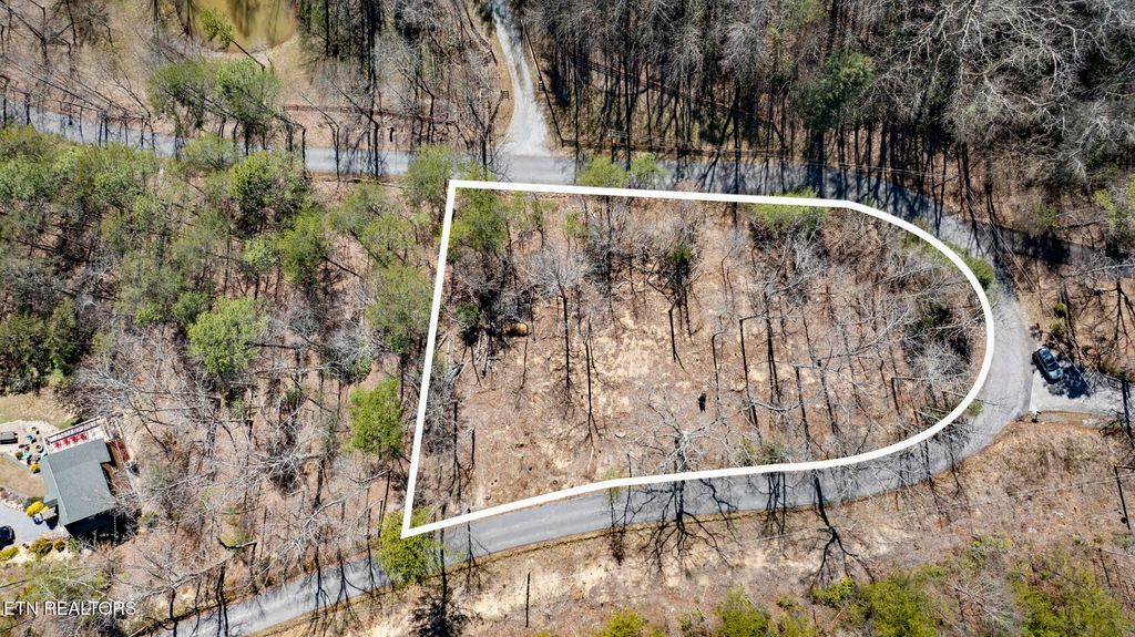 Photo of 272 Cove Hollow Rd, Cosby, TN 37722 (MLS # 1342068)