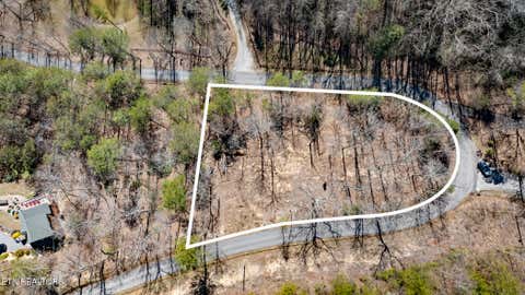 Tiny photo for 272 Cove Hollow Rd, Cosby, TN 37722 (MLS # 1342068)