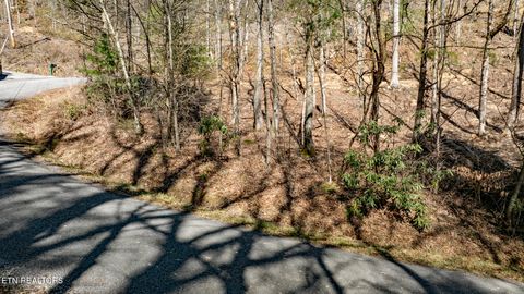 Tiny photo for 272 Cove Hollow Rd, Cosby, TN 37722 (MLS # 1342068)