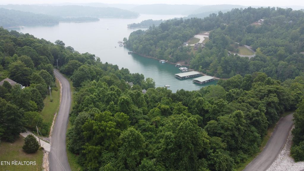 Photo of 00 Shanghai Lake Lane, LaFollette, TN 37766 (MLS # 1302489)