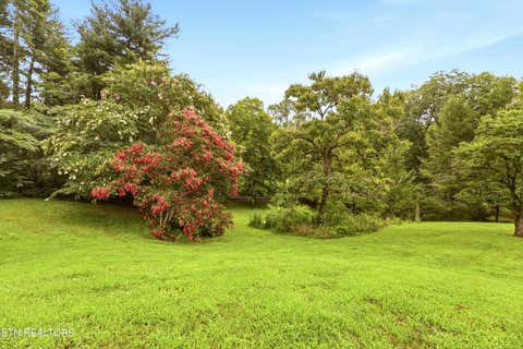 Tiny photo for 1509 Cedar Lane, Knoxville, TN 37918 (MLS # 1349768)