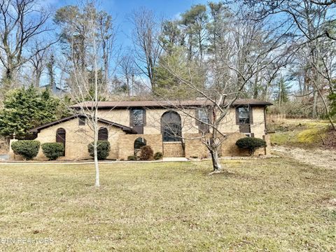 135 Palisades Drive Signal Mountain TN 37377
