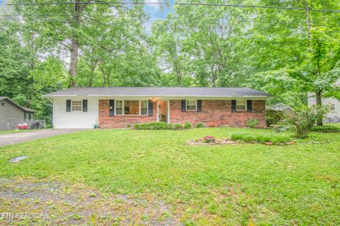 Photo of 223 White Oak Lane, Heiskell, TN 37754 (MLS # 1341028)