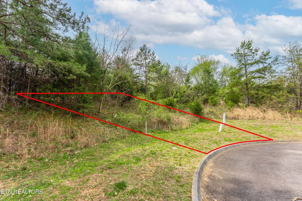 Photo of 4551 Ironstone Lane, Knoxville, TN 37938 (MLS # 1335856)