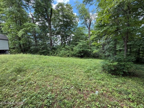 Tiny photo for Shoreline Circle, LaFollette, TN 37766 (MLS # 1344718)