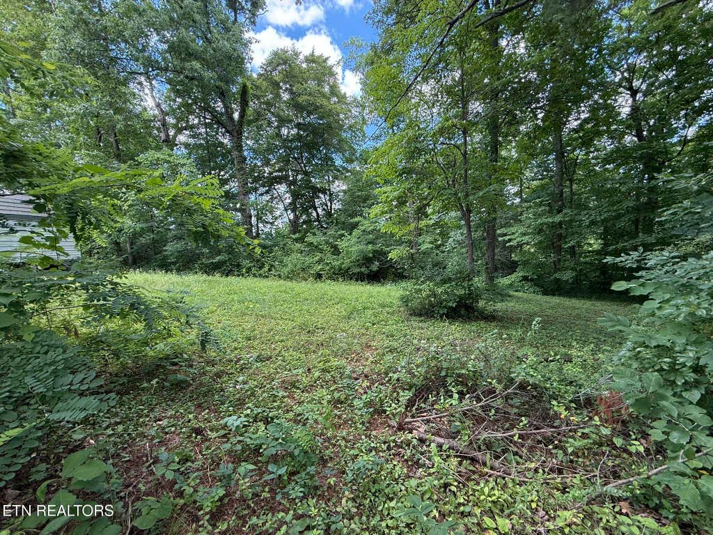 Photo of Shoreline Circle, LaFollette, TN 37766 (MLS # 1344718)
