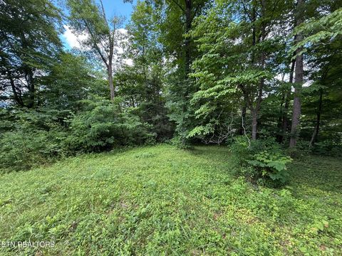 Tiny photo for Shoreline Circle, LaFollette, TN 37766 (MLS # 1344718)