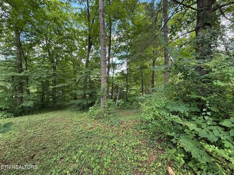 Tiny photo for Shoreline Circle, LaFollette, TN 37766 (MLS # 1344718)