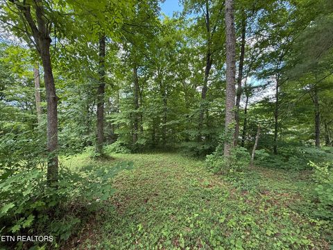 Tiny photo for Shoreline Circle, LaFollette, TN 37766 (MLS # 1344718)