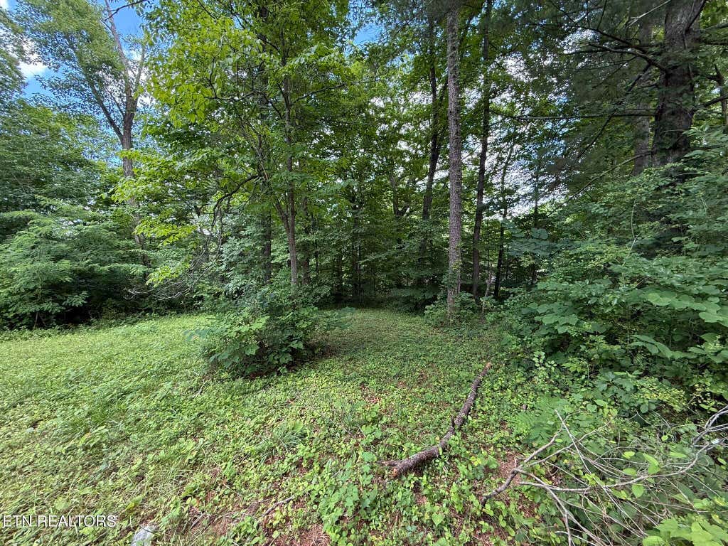 Photo of Shoreline Circle, LaFollette, TN 37766 (MLS # 1344718)
