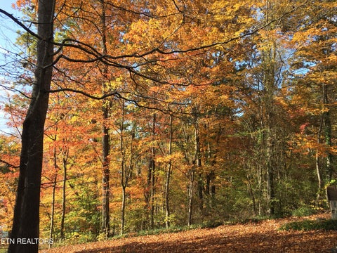 Tiny photo for 630 Heather Brook Circle, Jefferson City, TN 37760 (MLS # 1348777)