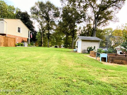 Tiny photo for 192 County Road 556, Athens, TN 37303 (MLS # 1317555)