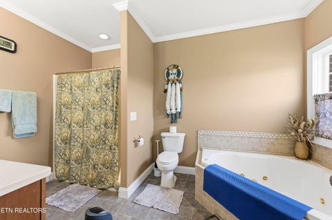 Tiny photo for 48 Saddle Brook Lane, Crossville, TN 38571 (MLS # 1334342)