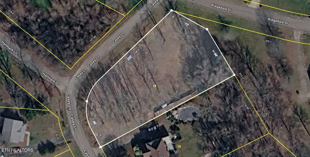 Photo of 438 Casey Lane, Strawberry Plains, TN 37871 (MLS # 1358210)