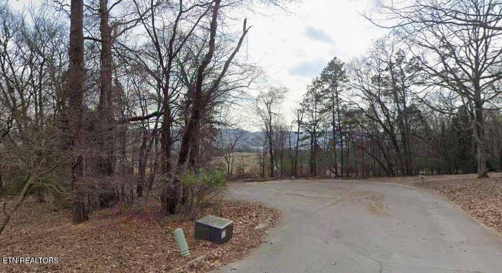 Photo of 181 Trail View Drive, Loudon, TN 37774 (MLS # 1329635)