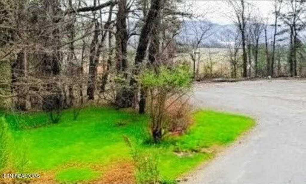 Photo of 181 Trail View Drive, Loudon, TN 37774 (MLS # 1329635)