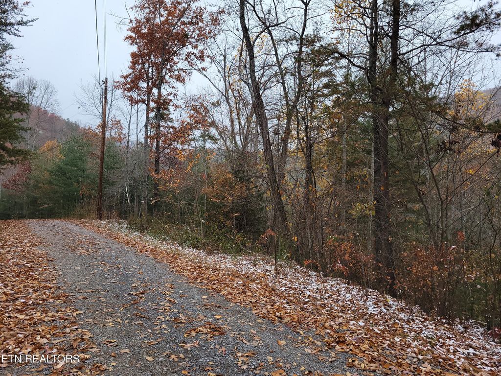 Photo of 21 Hickory St, Sevierville, TN 37876 (MLS # 1322575)