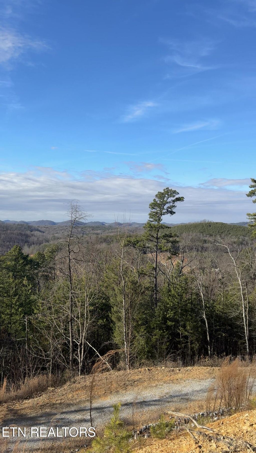Photo of 117 Indian Ridge Drive, Tellico Plains, TN 37385 (MLS # 1327395)