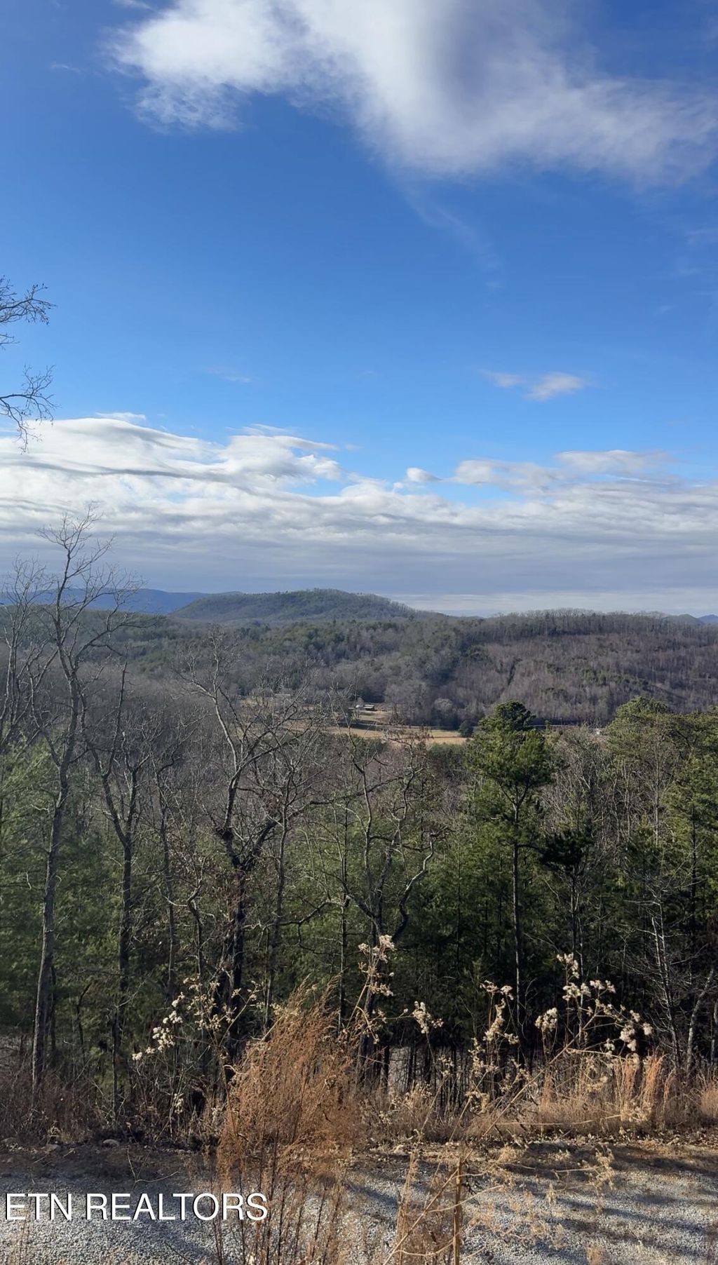 Photo of 117 Indian Ridge Drive, Tellico Plains, TN 37385 (MLS # 1327395)