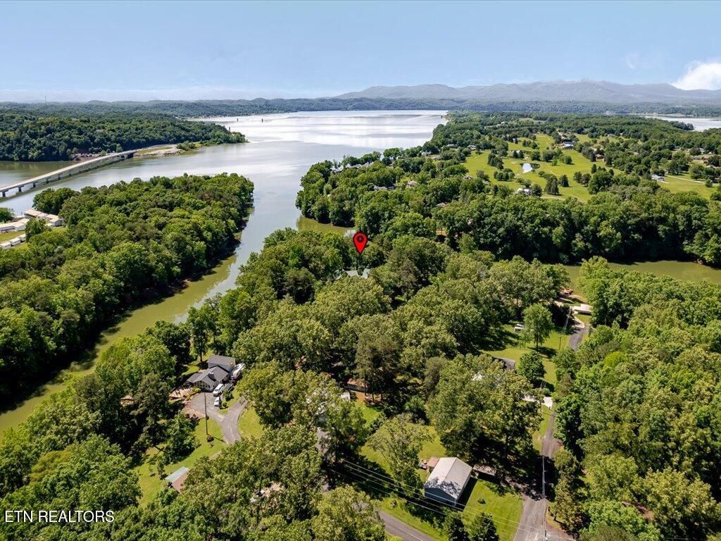 Photo of 3428 Connie Lane, White Pine, TN 37890 (MLS # 1301275)