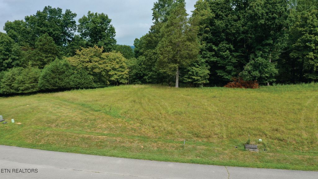 Photo of Deer Creek Path, LaFollette, TN 37766 (MLS # 1311525)