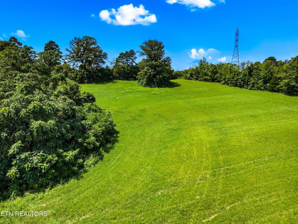 Photo of 6899 Beacon Light Rd, Whitesburg, TN 37891 (MLS # 1312849)