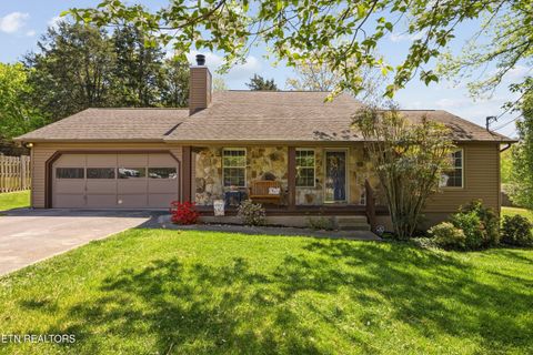 Photo of 9004 Lima Lane, Knoxville, TN 37923 (MLS # 1336788)