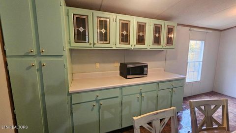 Tiny photo for 273 Henry Bidwell Lane, Decatur, TN 37322 (MLS # 1325249)