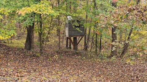 Tiny photo for 273 Henry Bidwell Lane, Decatur, TN 37322 (MLS # 1325249)