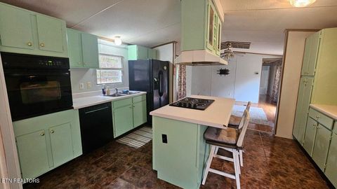 Tiny photo for 273 Henry Bidwell Lane, Decatur, TN 37322 (MLS # 1325249)