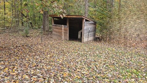 Tiny photo for 273 Henry Bidwell Lane, Decatur, TN 37322 (MLS # 1325249)