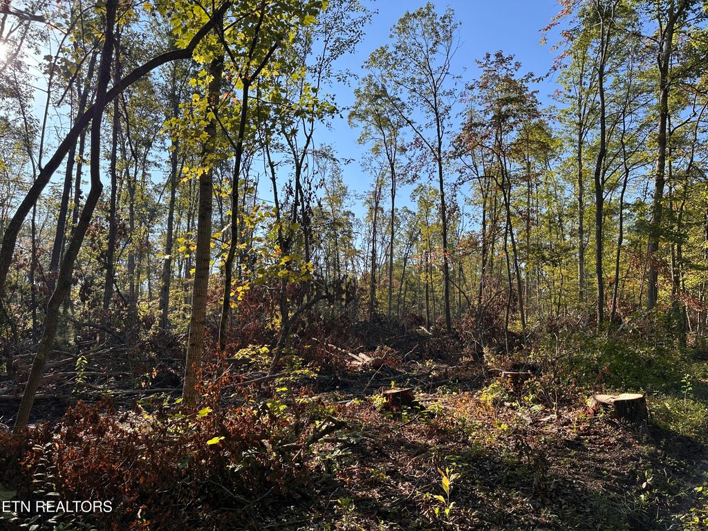 Photo of 1153 Government Pond Rd, Jamestown, TN 38556 (MLS # 1333042)