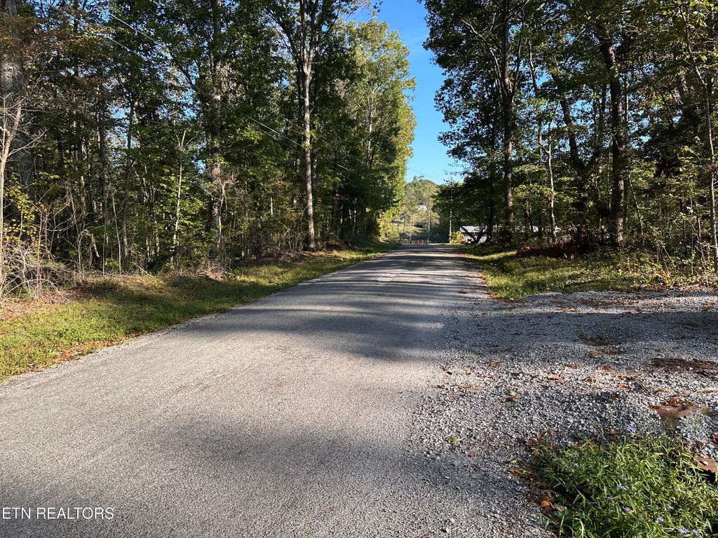 Photo of 1153 Government Pond Rd, Jamestown, TN 38556 (MLS # 1333042)