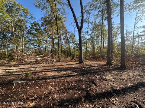 Photo of 1153 Government Pond Rd, Jamestown, TN 38556 (MLS # 1333042)