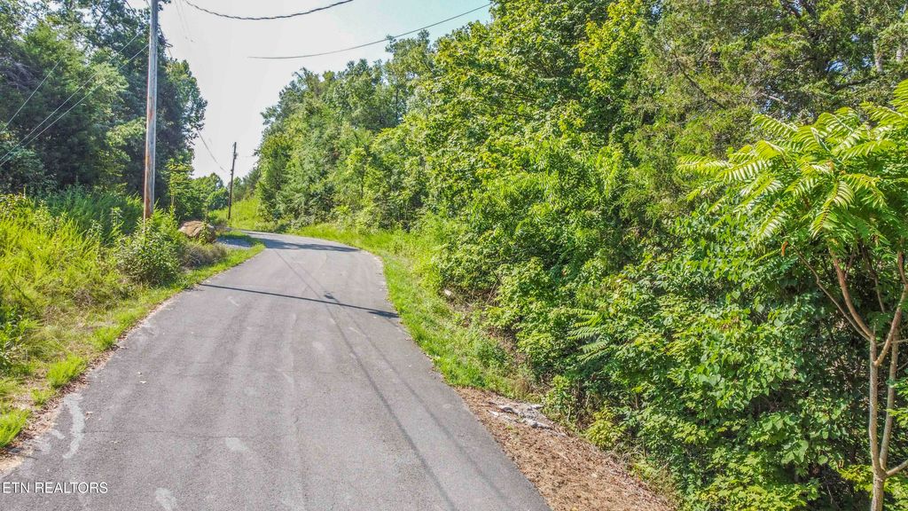 Photo of Fishtail Cove, Dandridge, TN 37725 (MLS # 1309697)