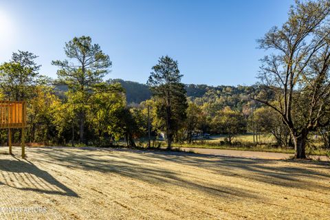 Tiny photo for 1728 Cooper Rd, Knoxville, TN 37914 (MLS # 1319409)