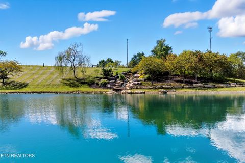 Tiny photo for 3239 Hwy 61, West, Andersonville, TN 37705 (MLS # 1317163)