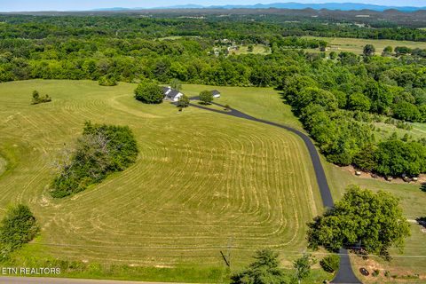 Tiny photo for 153 County Road 554, Athens, TN 37303 (MLS # 1339848)