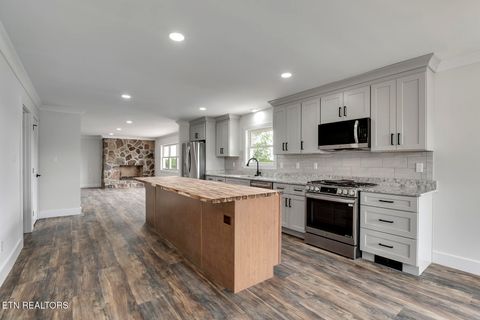 Tiny photo for 153 County Road 554, Athens, TN 37303 (MLS # 1339848)